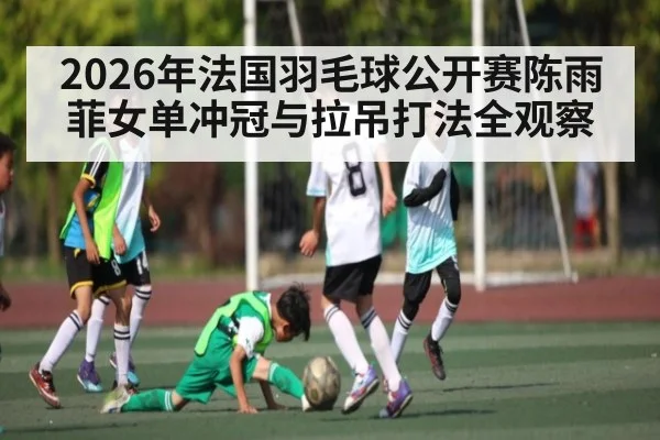 2026年法国羽毛球公开赛陈雨菲女单冲冠与拉吊打法全观察